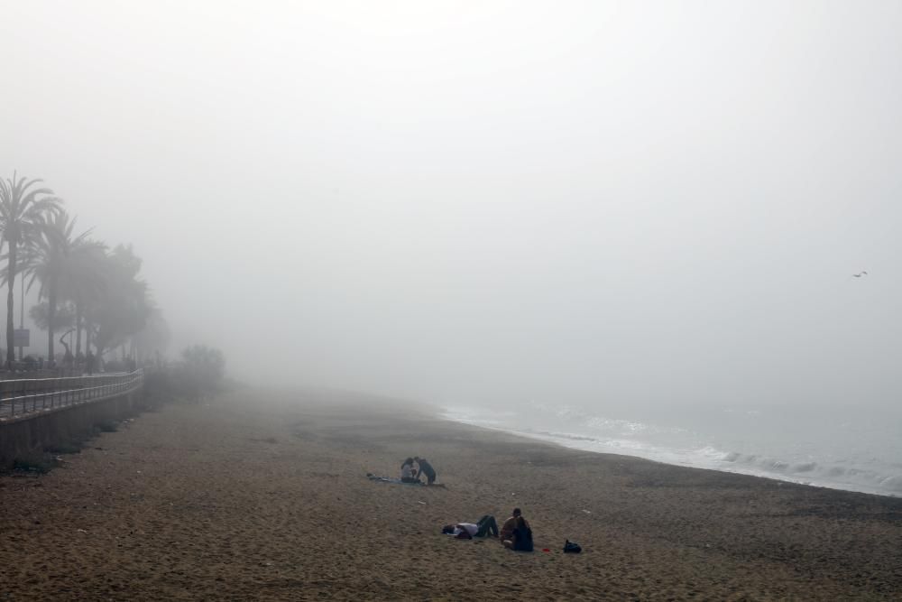 Palma im Nebel