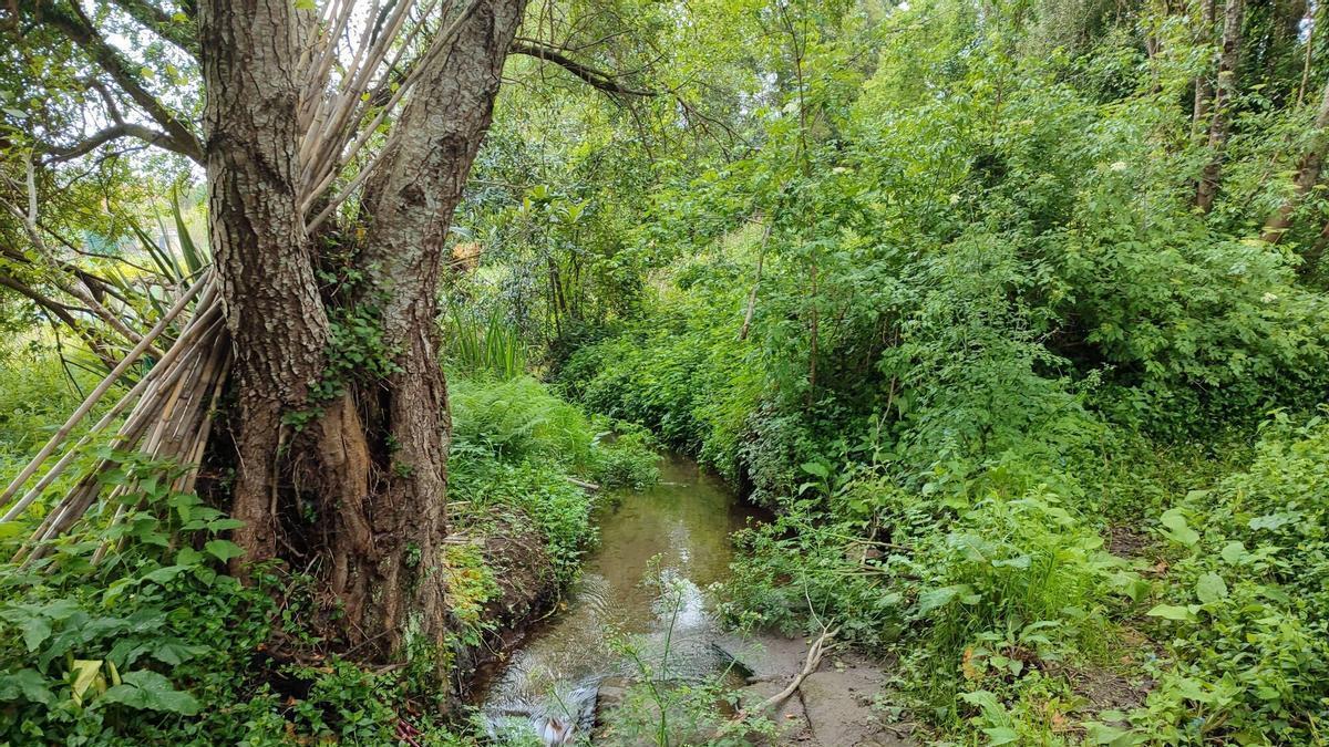 Las nuevas viviendas se levantarán cerca del río Saiñas, donde se construirá un gran parque fluvial