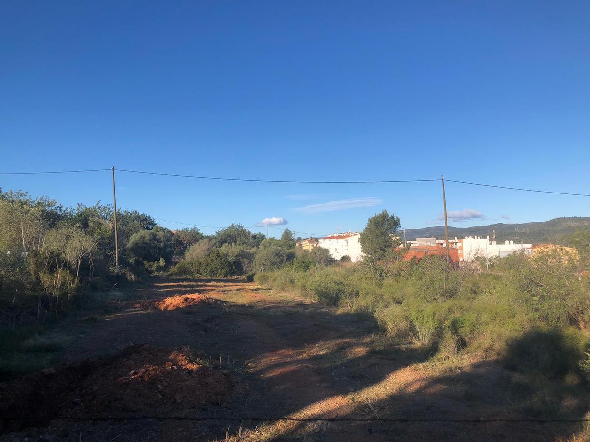 Ja han començat els treballs de desbrossament de la parcel·la.