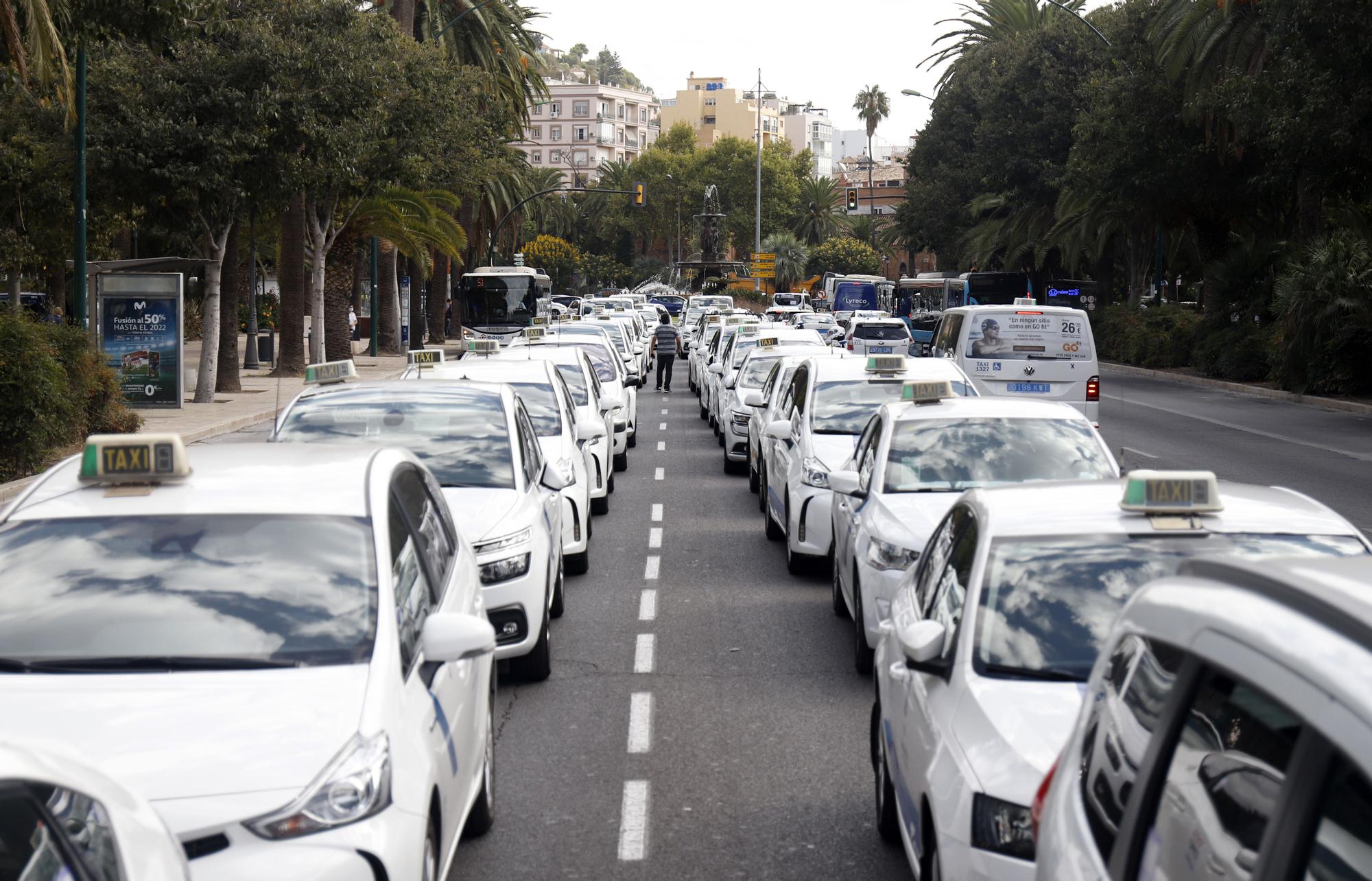 Manifestación del sector del taxi en Málaga contra el intrusismo de las VTC