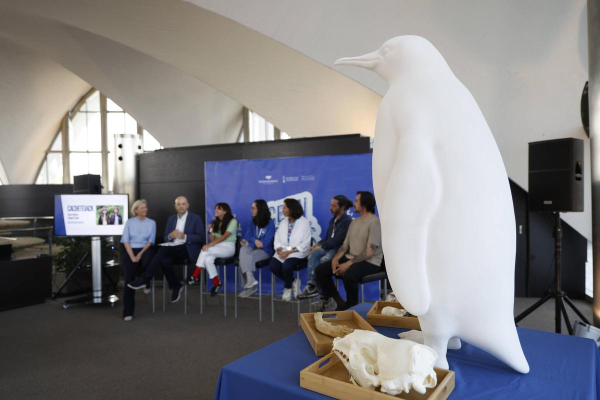 Presentación de OceanFest 2026: arte, ciencia y cultura Presentación de OceanFest 2026: arte, ciencia y cultura