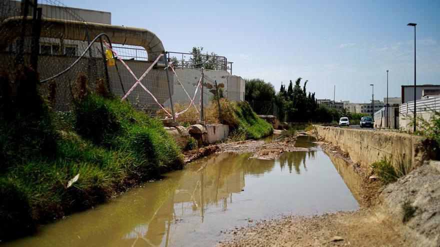 Vertido de este verano de la depuradora al torrente de sa Llavanera. | TONI ESCOBAR