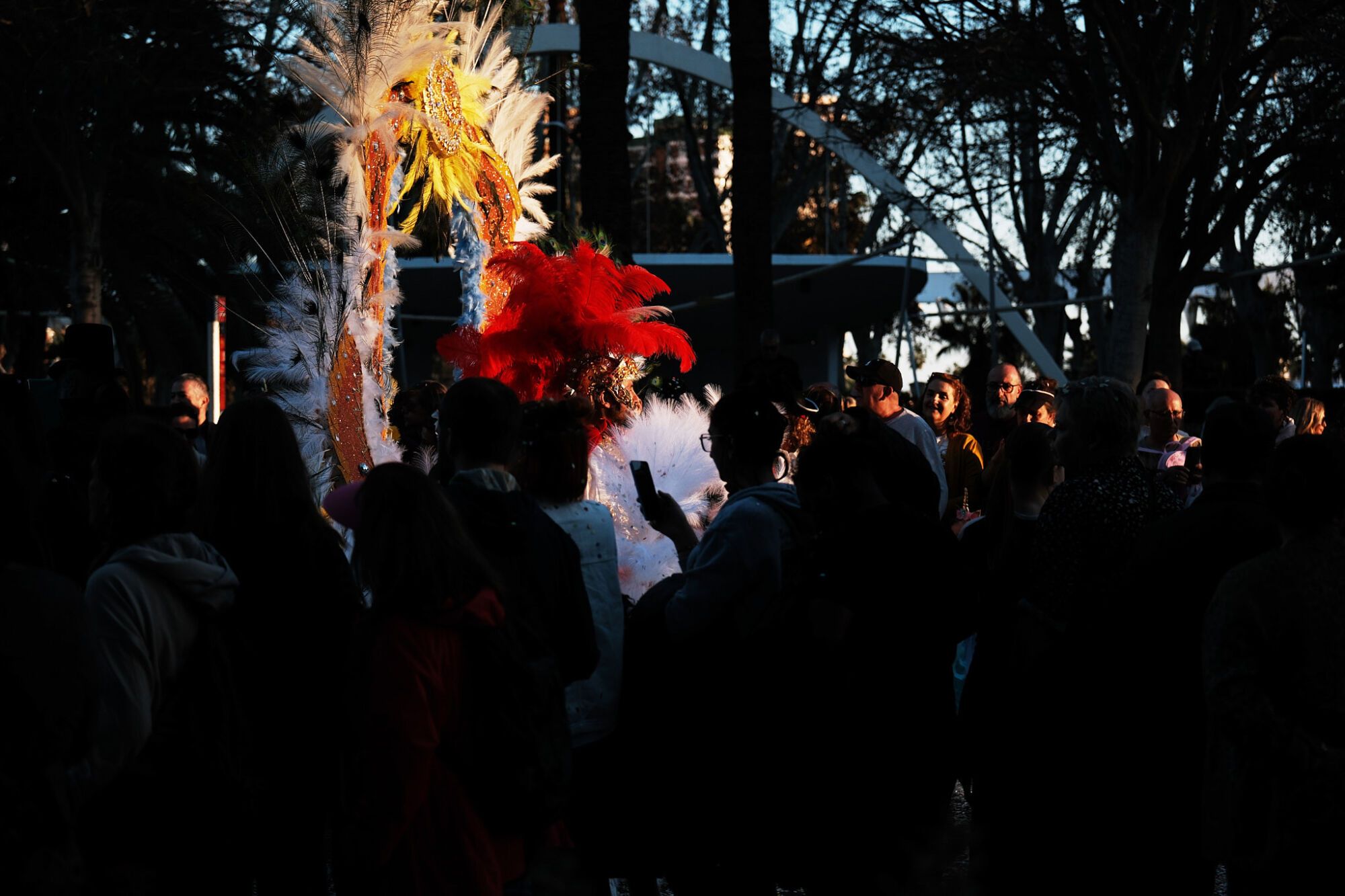 Imágenes del Gran Desfile de Carnaval 2025 en Málaga