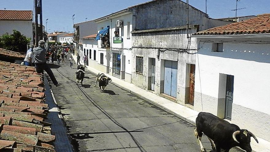 Licitan el contrato de los actos de San Buenaventura en Moraleja