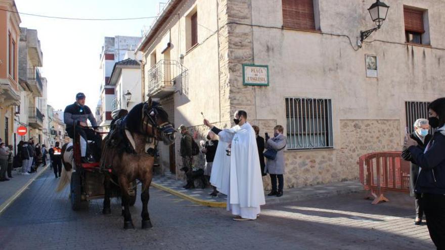 Els animals i el foc, protagonistes en Sant Antoni