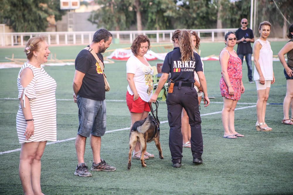 Carrera de burros y asnos y exhibición canina en D