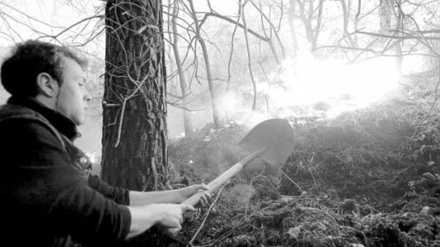 el rañadoiro, cercado por las llamas. Los vecinos de El Rañadoiro, Tineo, vieron ayer cómo las llamas se acercaban peligrosamente al pueblo, lo que les obligó a movilizarse para cortar el avance del fuego. En la imagen, Daniel Menéndez trata de controlar las llamas con una pala. | miki lópez