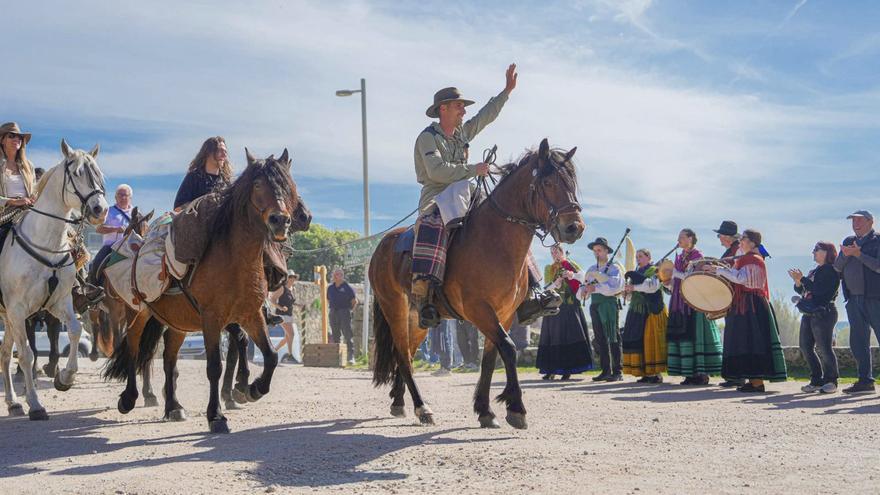 Dous cabalos de pura raza da Groba cruzan Galicia para unha serie da TVG