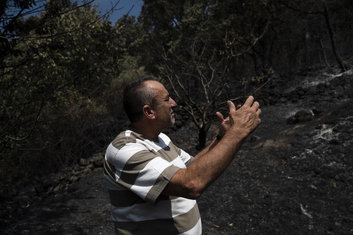 GARGANTILLA. ZONA AFECTADA INCENDIO FORESTAL JARILLA