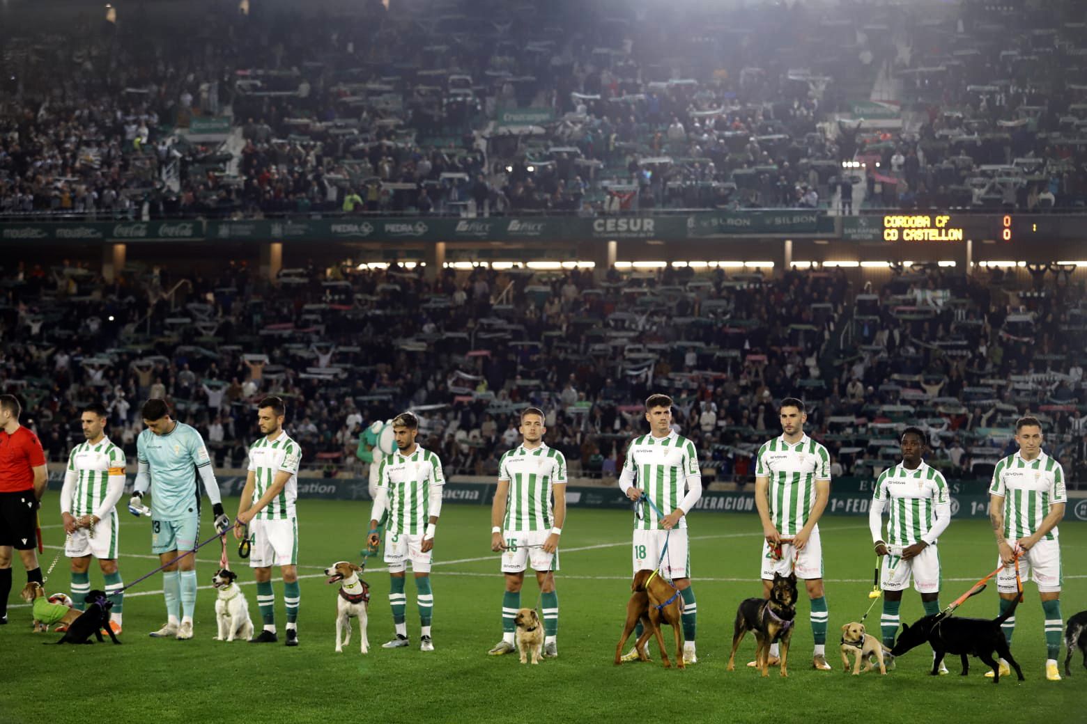 Córdoba CF-Castellón: las imágenes del partido en El Arcángel