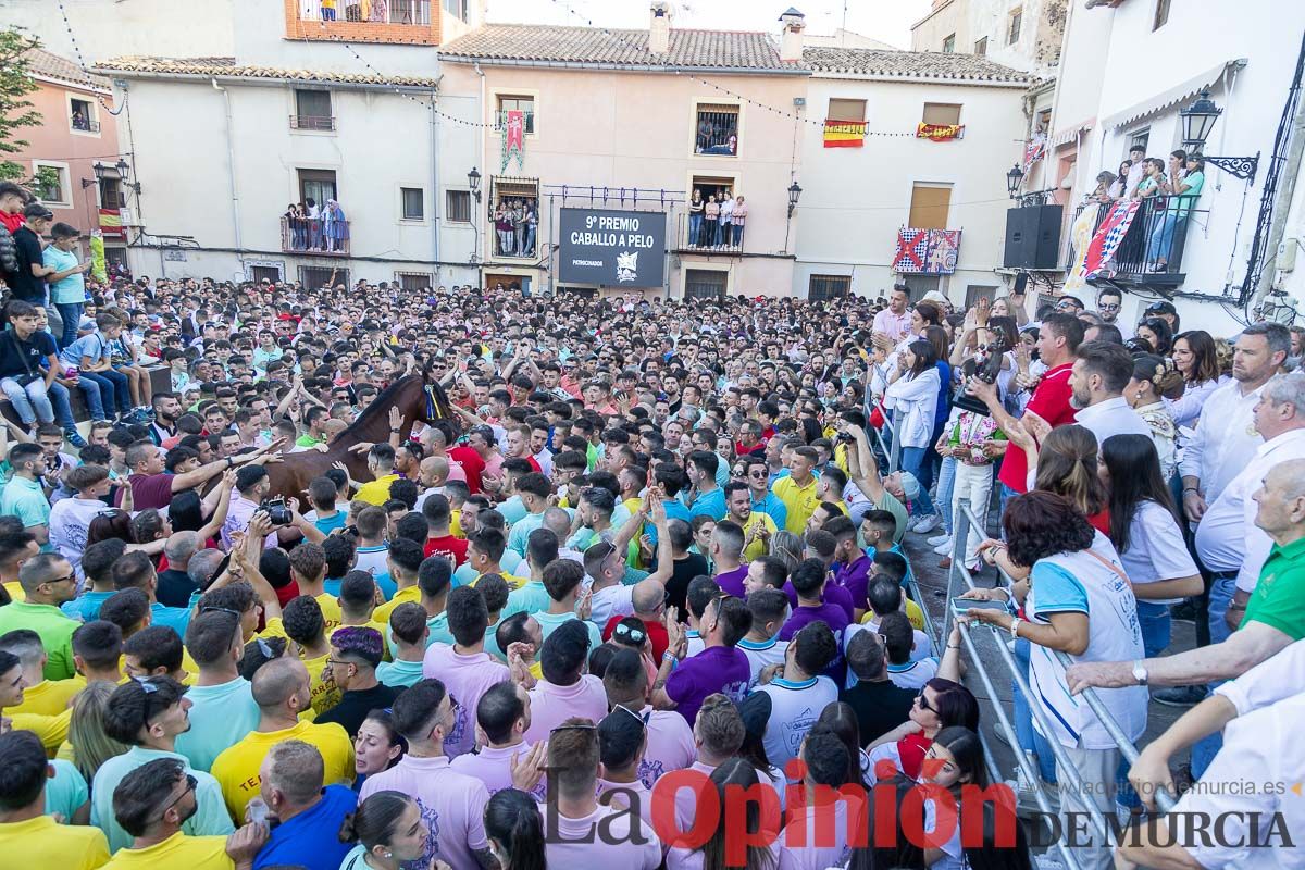 Entrega de premios del concurso morfológico de los Caballos del Vino de Caravaca