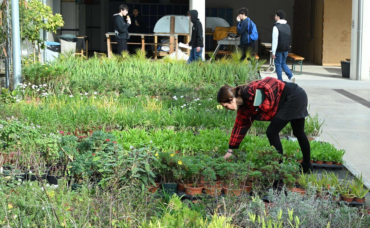 Instalaciones del ISMAB, en Barcelona, instituto especializado en FP de jardinería.