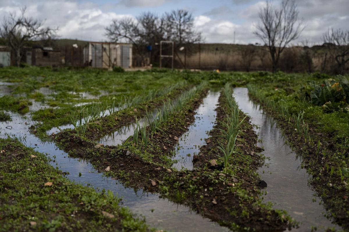 Galería | Estado del Marco tras el desembalse del Guadiloba en Cáceres