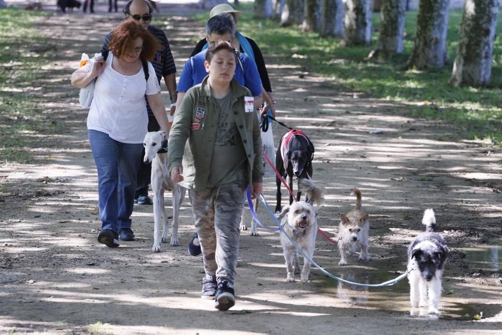 I Marxa Solidària Canina de Diari de Girona