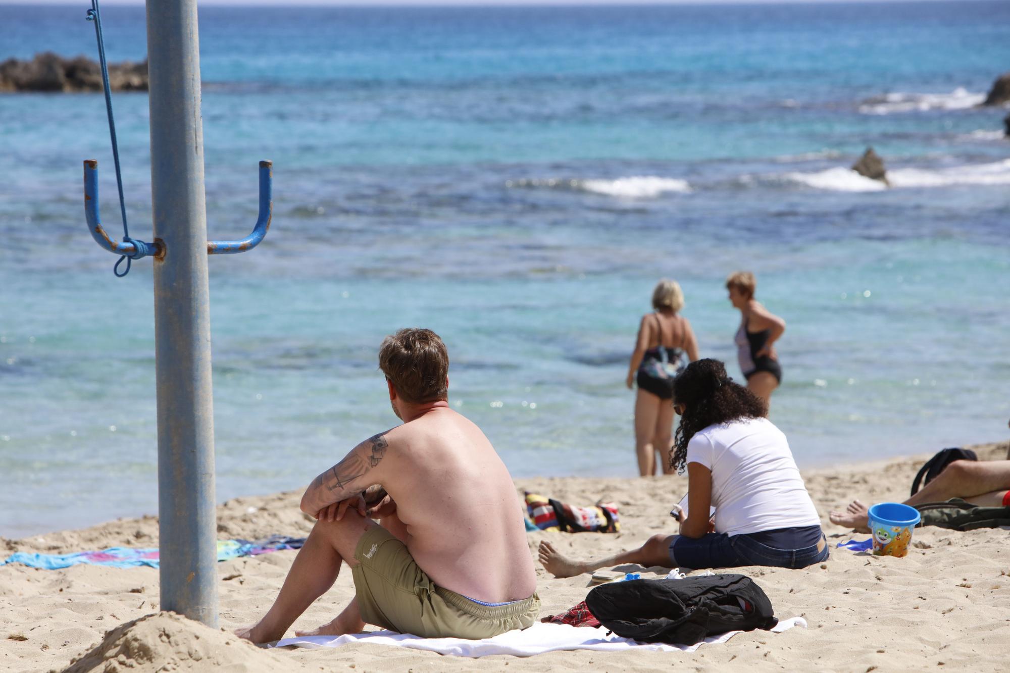 Frühlingsgefühle an der Promenade von Cala Ratjada