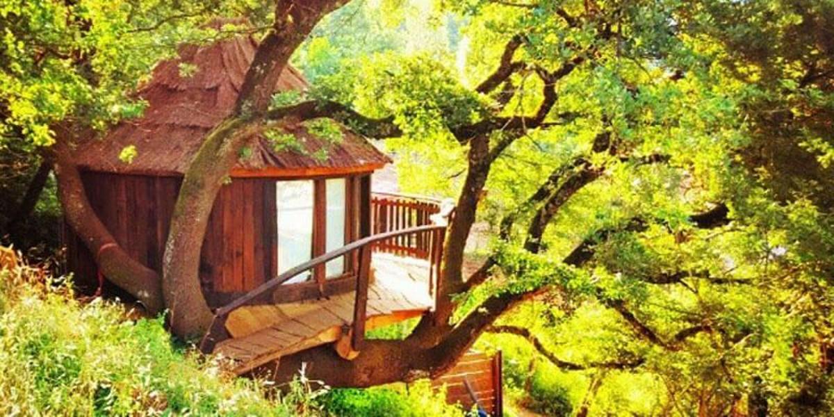 También en Navarra, pero en el municipio de Villanueva del Arce podrás vivir una escapada en una cabaña árbol