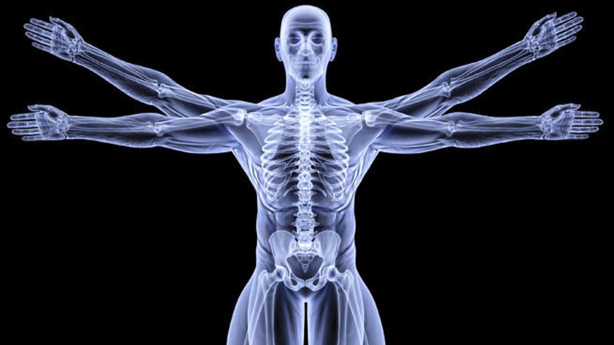 El cuerpo humano es una máquina perfecta.