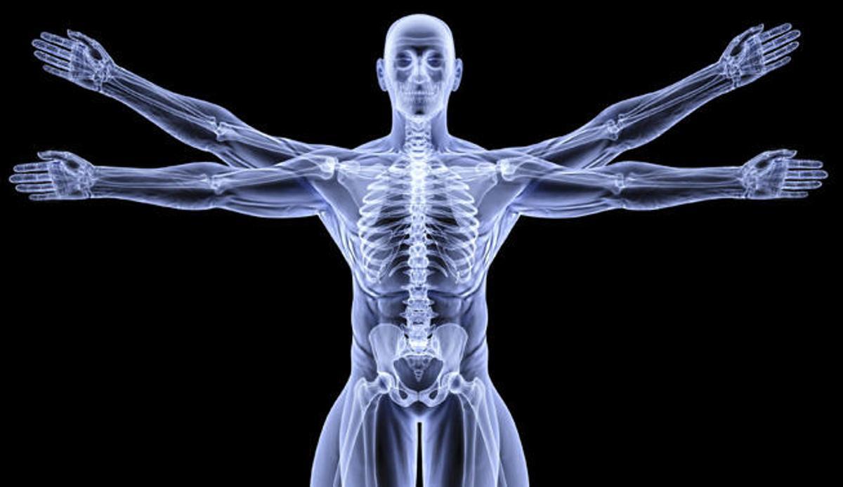 Hay un momento en que el cuerpo habla. No susurra ni insinúa: grita.