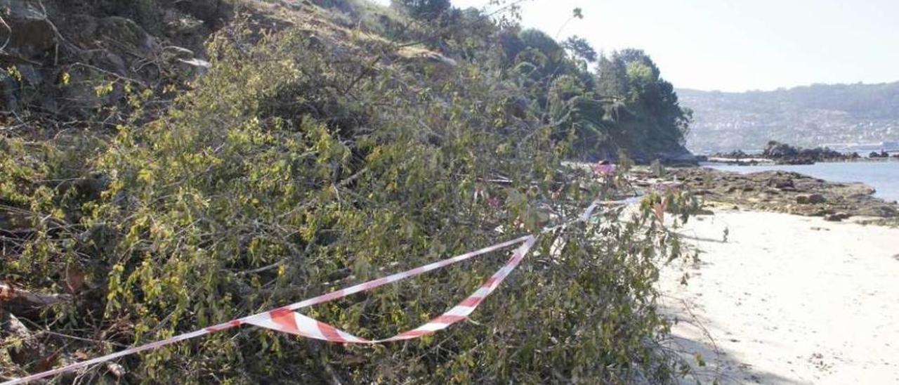 Los restos del desbroce ocupando buena parte de la playa de A Borna. //Santos Álvarez