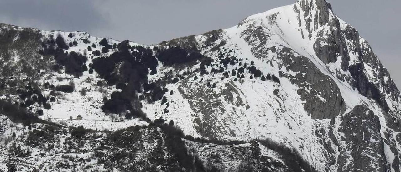 La Mochada, en cuyas altas canales la osa &quot;Vanesa&quot; fue observada por el presidente Pedro de Silva.