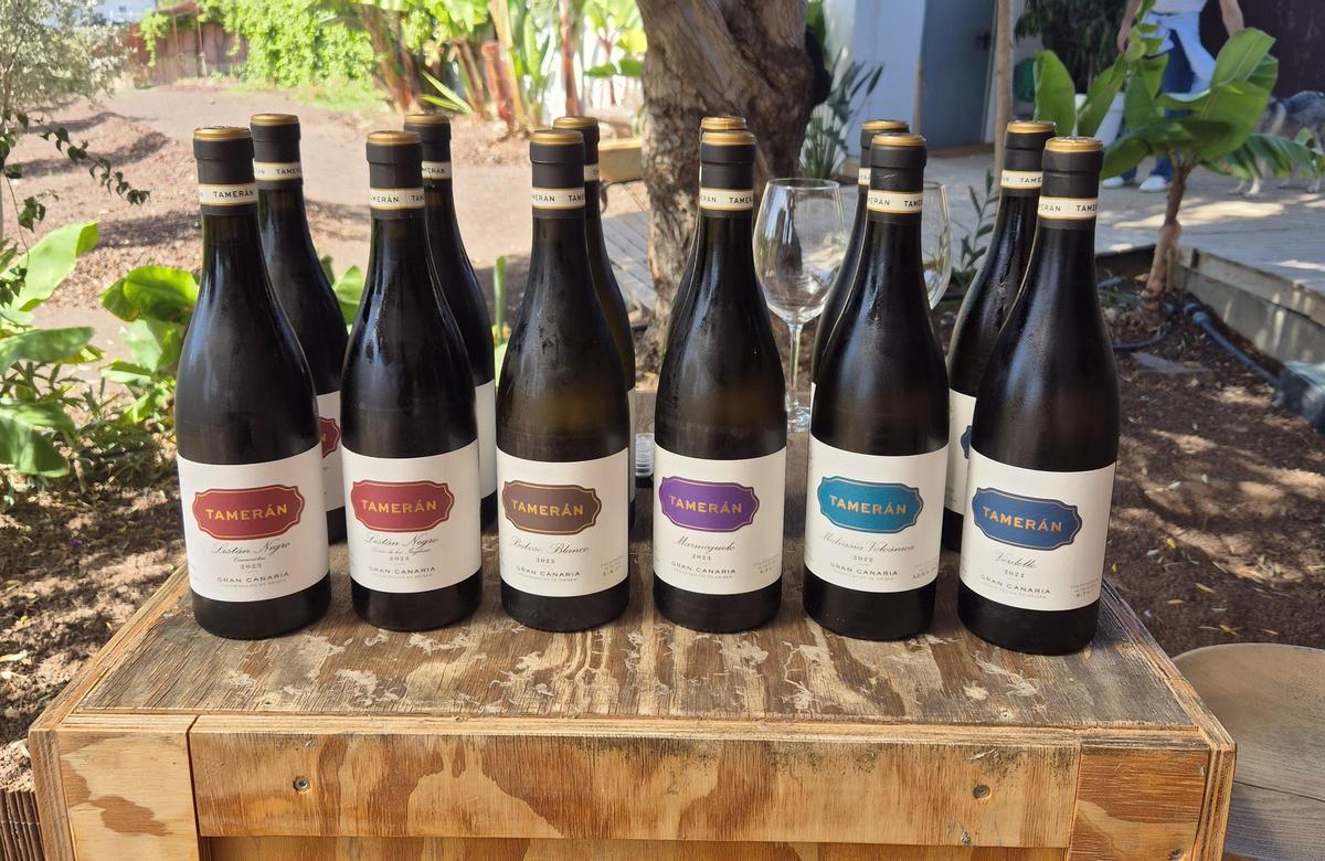 Cata de vinos Tamerán.