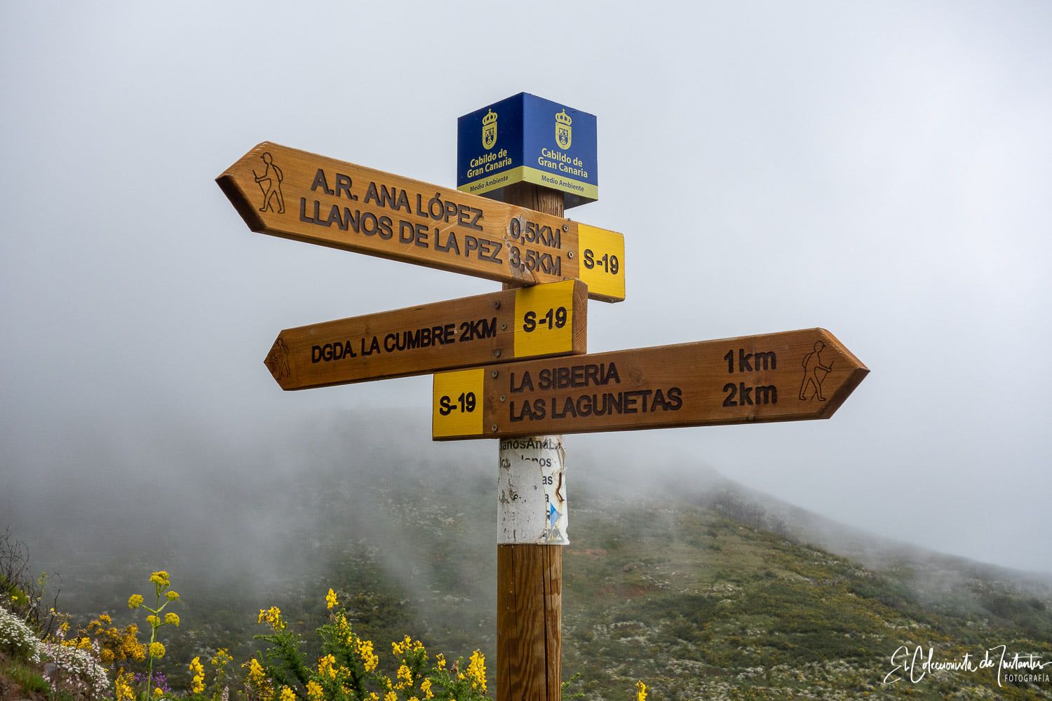 Ruta entre los Llanos de Ana López y Degollada Becerra, en Gran Canaria