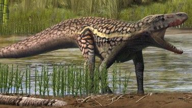 Recreación de una especie desconocida de reptil que vivió hace 247 millones de años
