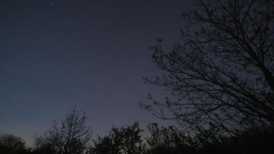Starlink, los satélites de Elon Musk que sacuden el cielo y la política internacional