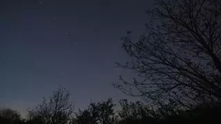 Starlink, los satélites de Elon Musk que sacuden el cielo y la política internacional