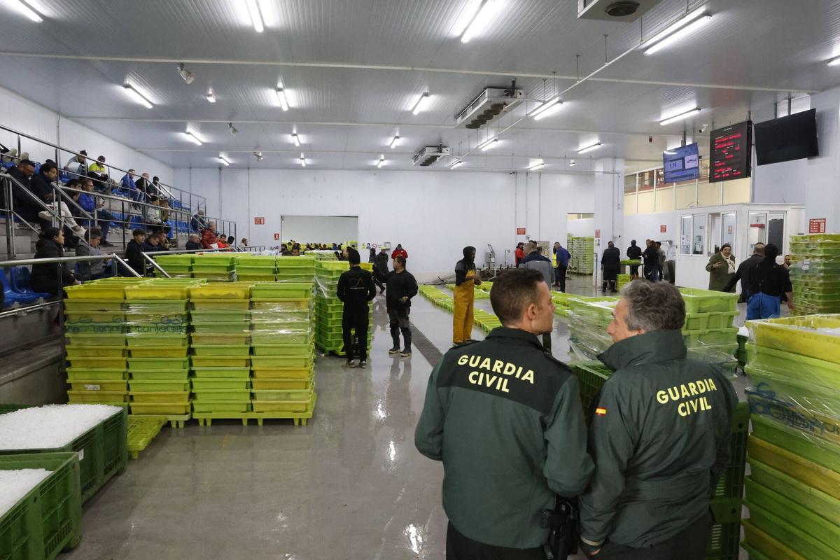 EN IMÁGENES: "Intensa y épica" descarga en Lonja Gijón: más de 65.000 cajas de bocarte y 550.000 kilos de pescado rulado