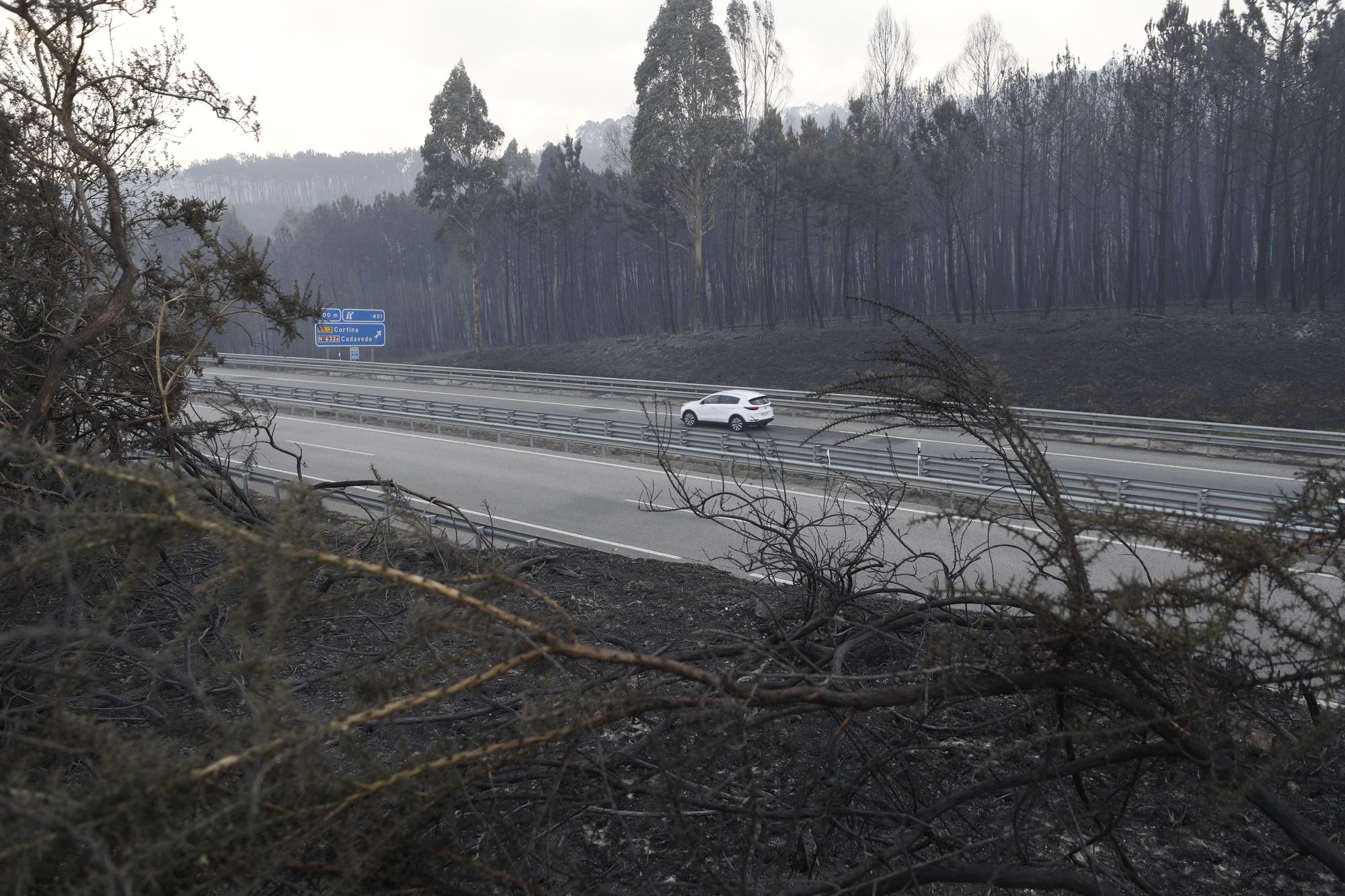 EN IMÁGENES: Gran oleada de incendios en Asturias