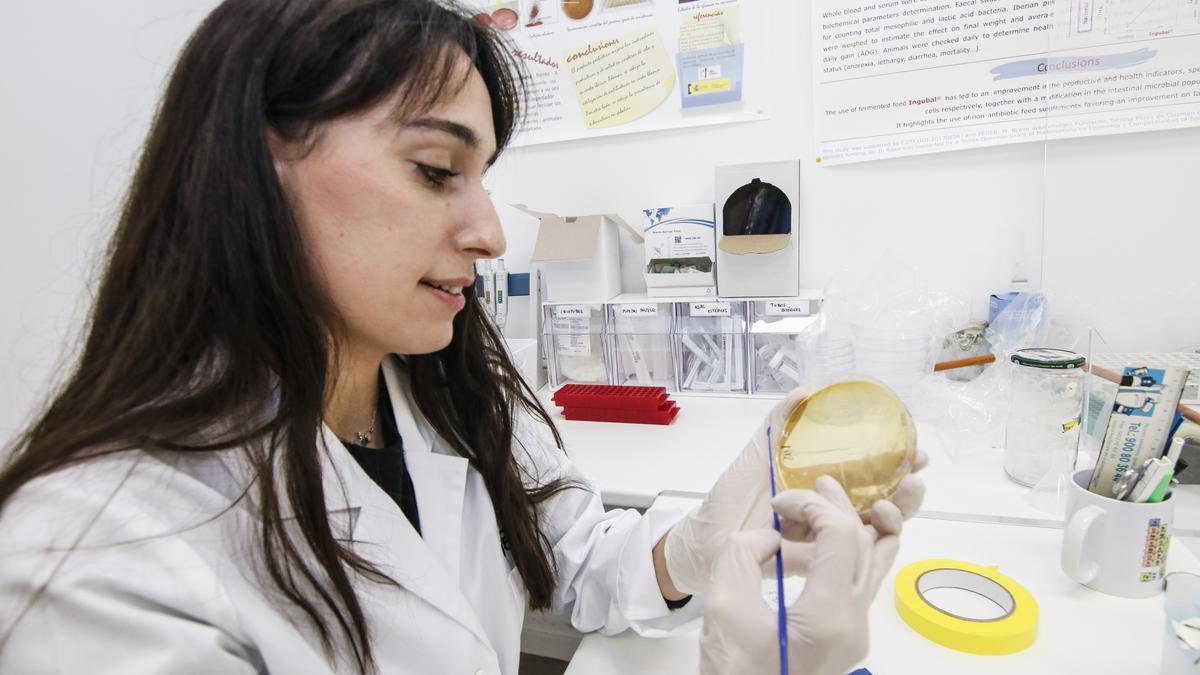 María Bravo realiza una investigación en el laboratorio.