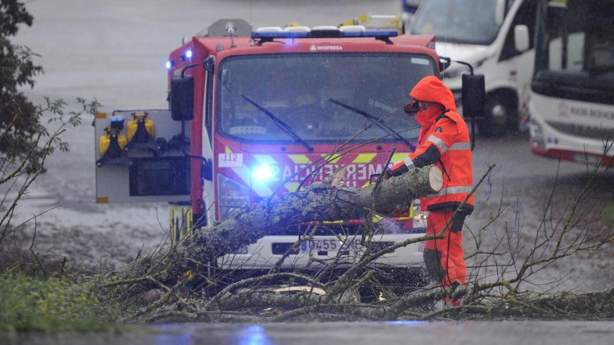 Efectivos de Emerxencias de Lalín talan un árbol caído junto al IES Aller Ulloa. |  // BERNABÉ/JAVIER LALÍN