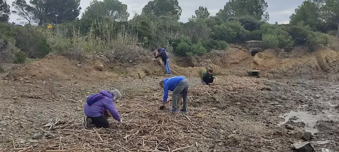 Platges Netes fa la primera acció ambiental de l'any a Llançà