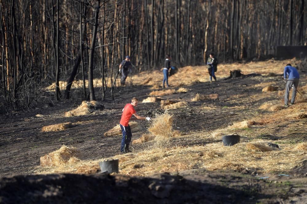 Incendios en Galicia | Paja en Ponte Caldelas