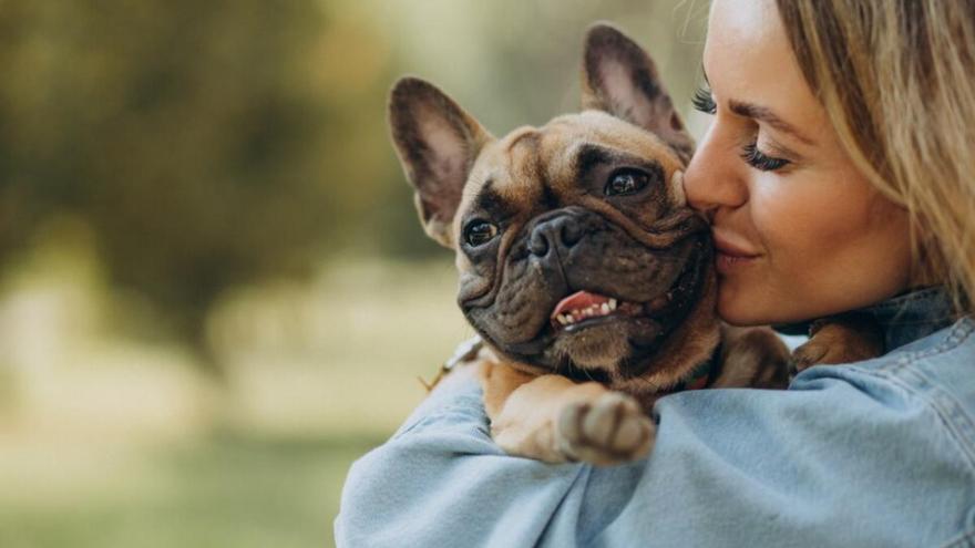 T&#039;agrada viatjar i tens mascota? Descobreix el &#039;House sitting&#039;, t&#039;encantarà!