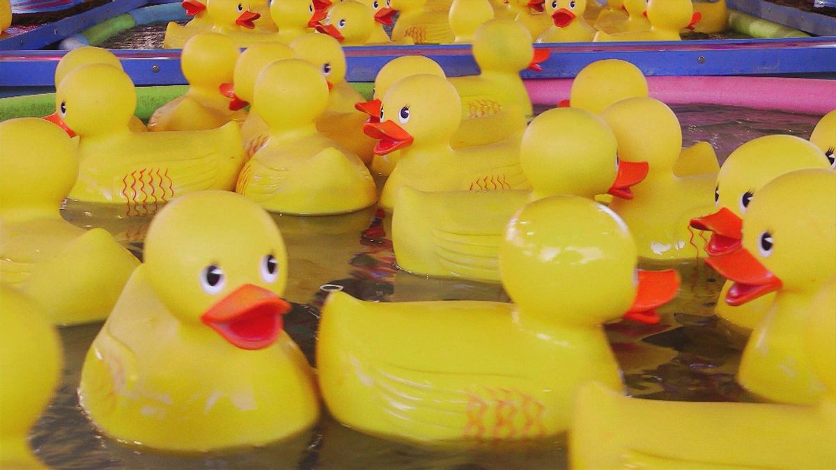 Fotograma del vídeo de los patos del vídeo de Moleiro.