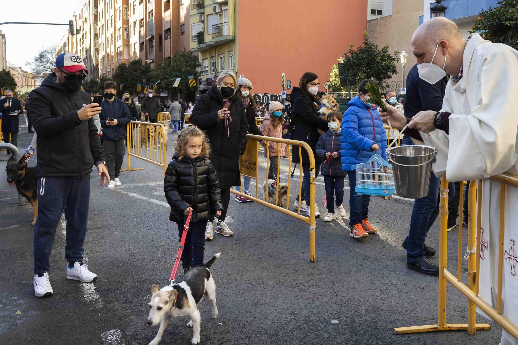 Búscate en la bendición de animales de Sant Antoni