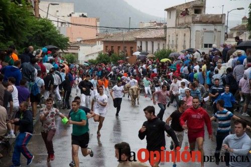 Cuarto encierro Feria del Arroz 2015, Calasparra