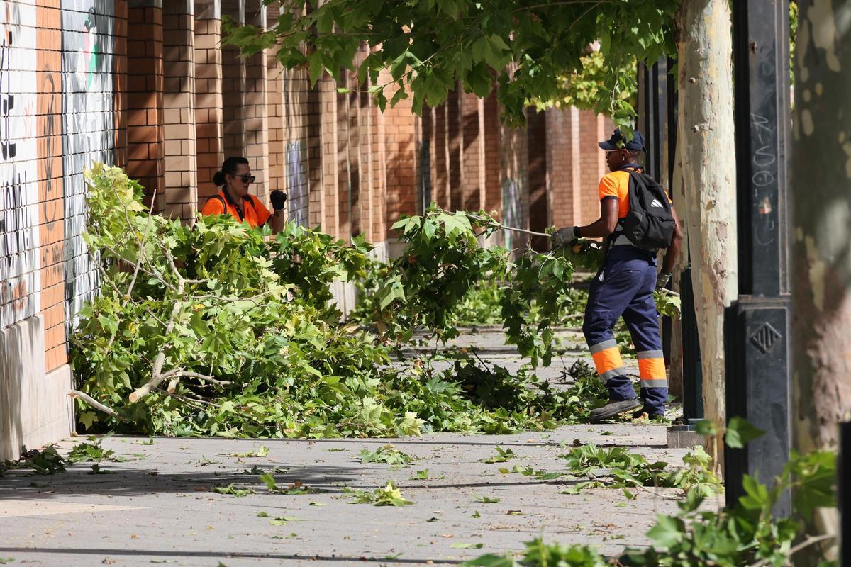 Imágenes del día después en Alcoy tras el temporal