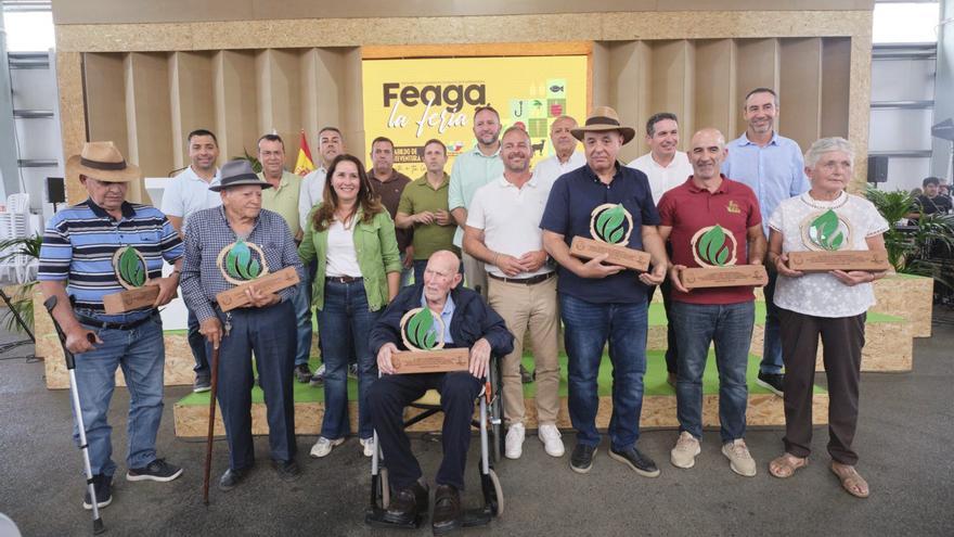 Los magníficos de la agricultura majorera