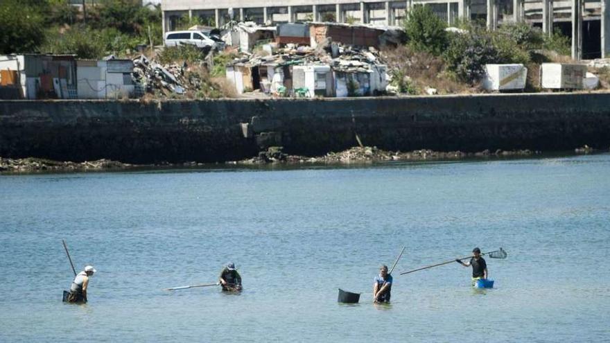 Mariscadores a pie, durante una de sus jornadas de trabajo, en la ría de O Burgo.