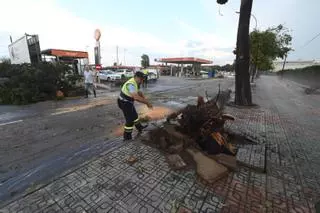 El Ayuntamiento de Burriana solicitará declarar zona catastrófica tras el temporal