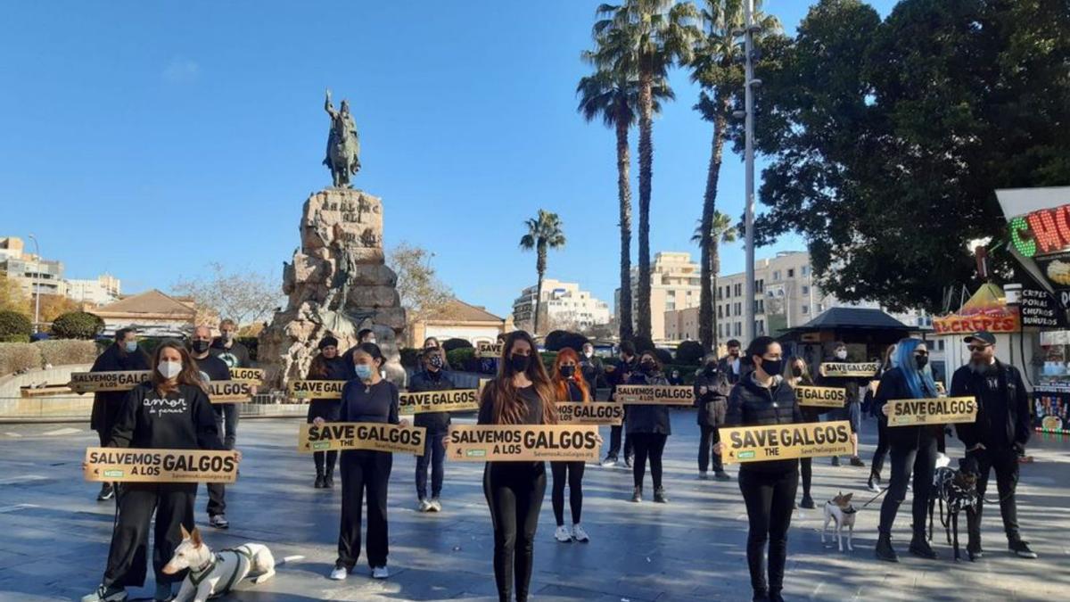 Una protesta animalista, en la plaza de España. | EUROPA PRESS