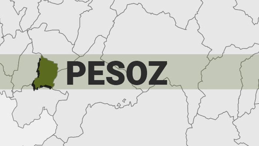 Resultados de las elecciones generales en Pesoz