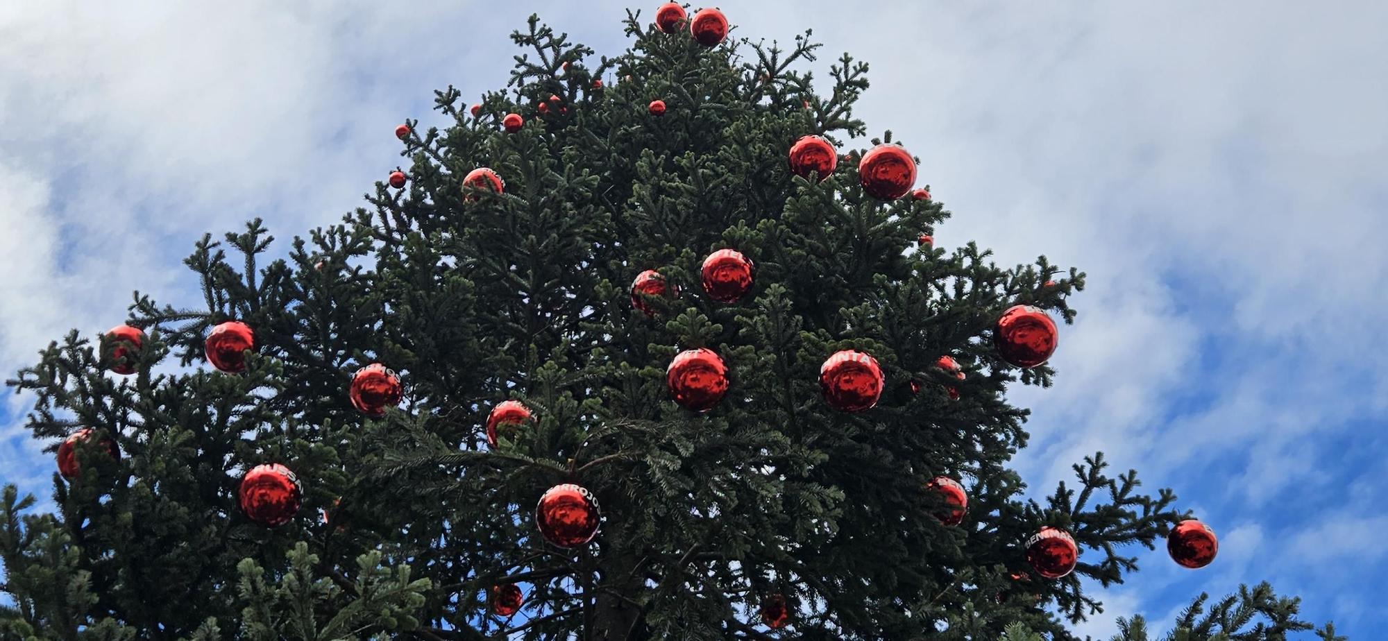 Así es el nuevo "Abeto de los Barrios" de Navidad en el centro de València