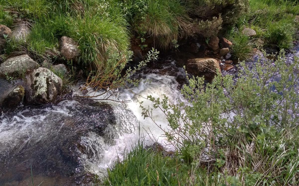 Corriente de agua a su paso por salcedillo