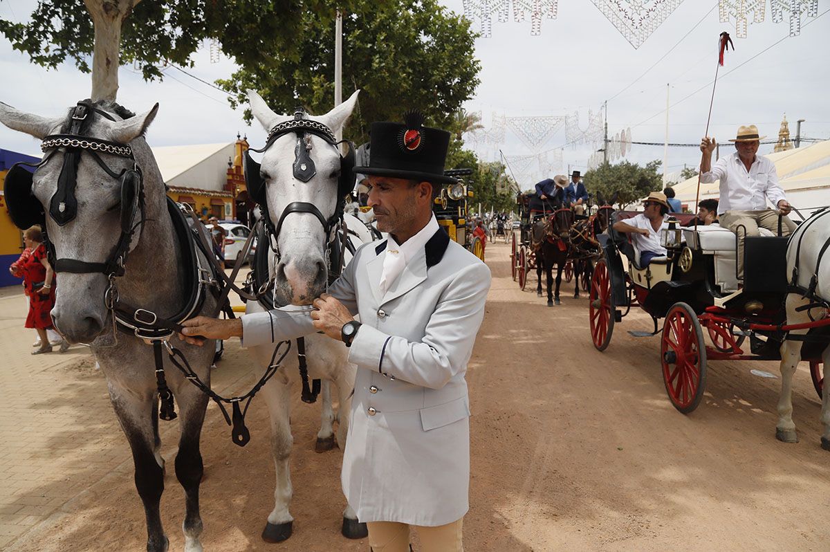 Martes de Feria en Córdoba