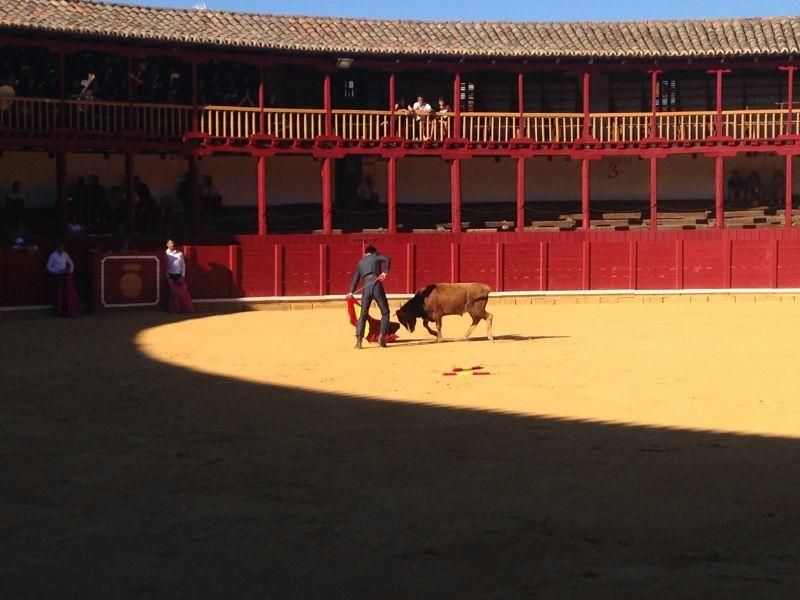 Fiestas en Toro | Becerrada de las peñas