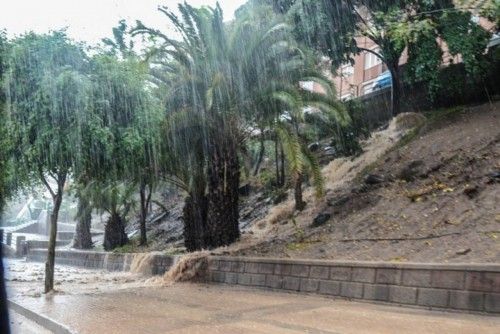 TEMPORAL LAS PALMAS DE GRAN CANARIA